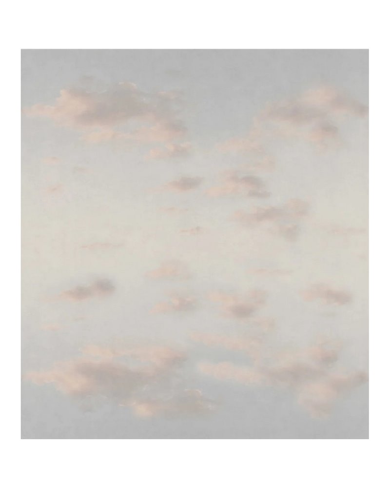 Moln Ceiling Misty Blue S10360 Moln Ceiling Misty Blue S10360