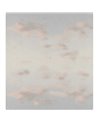 Plafond Moln Bleu brumeux S10360