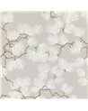 Kiefer Grau 804-21