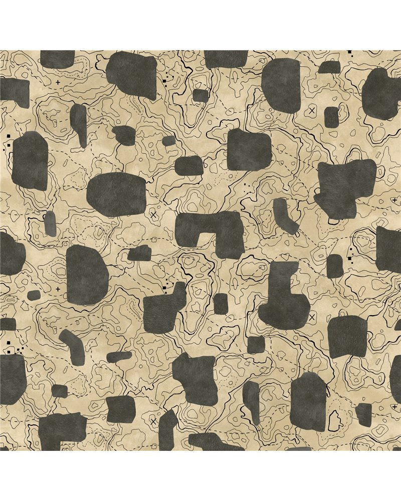 PL5003-4_01 PL5003-4_01