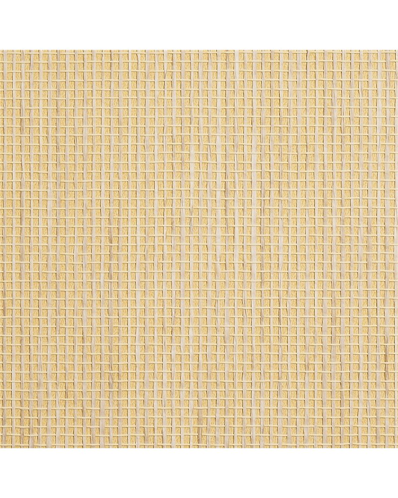 COASTAL WEAVE 9884