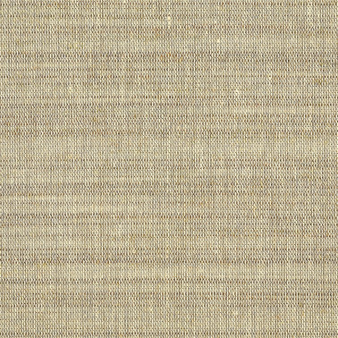 HERITAGE THREADS 10185