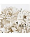 PERFECT PEONIES 10165