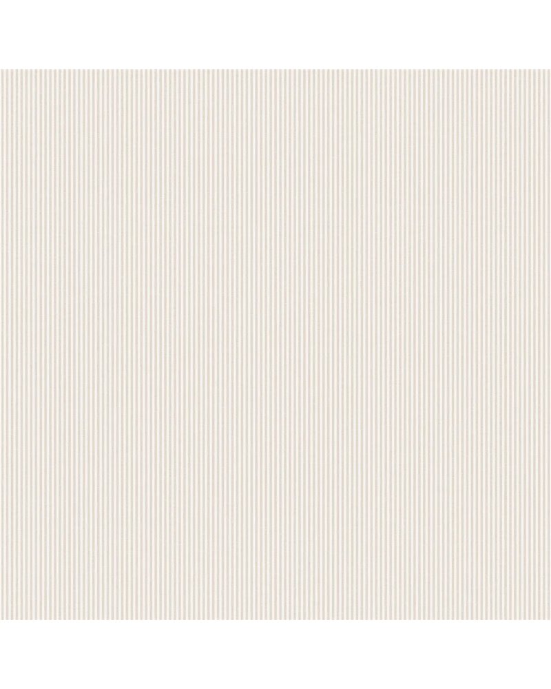 Rand Sandstone S10288