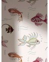 Aquaristik _NCW3833_03