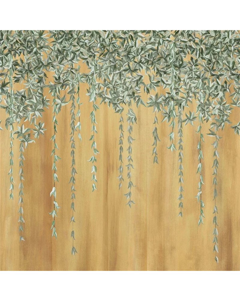Hedera Lichen Dore 76421732 Hedera Lichen Dore 76421732