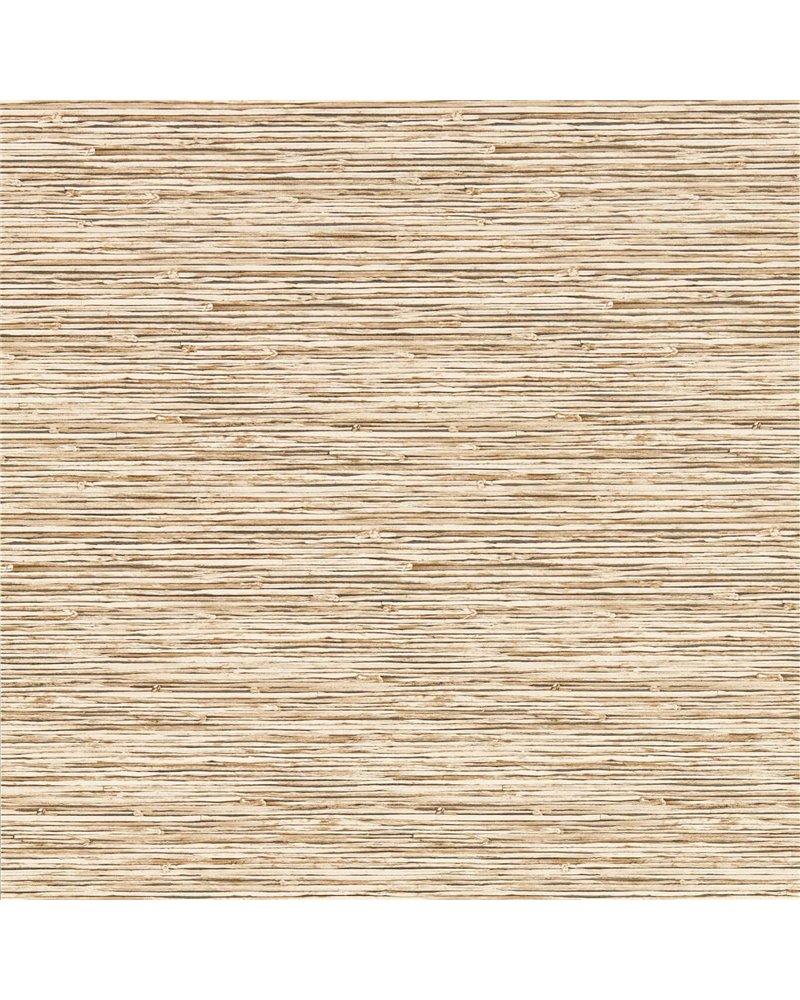 Xan Sahara W0192-06 Xan Sahara W0192-06