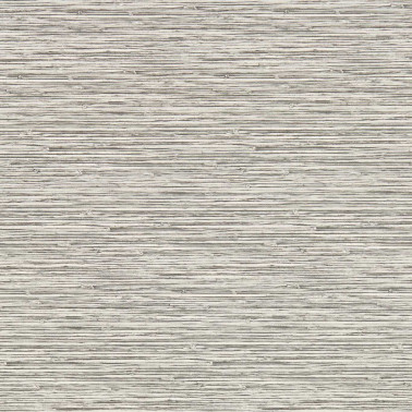 Xan Dove W0192-02