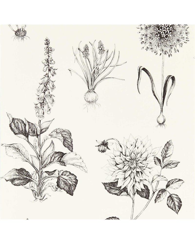 Roseraie Charcoal W0197-02 Roseraie Charcoal W0197-02