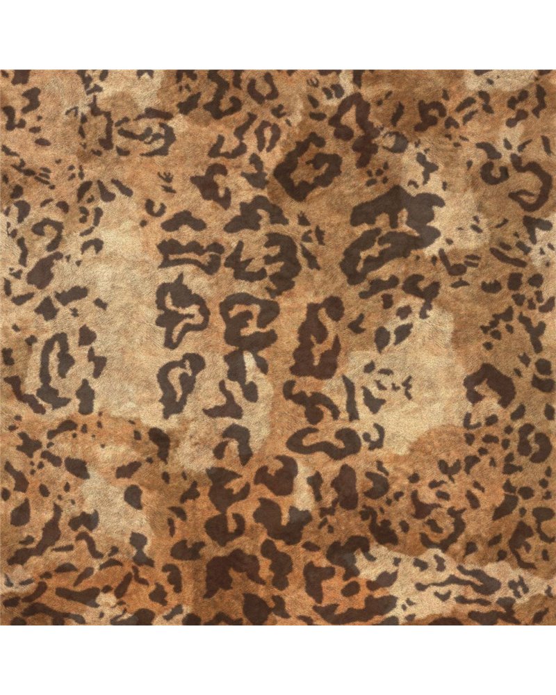 Leopard VP-969-01 Leopard VP-969-01