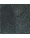 Pampa Toujours Plus Fort VP-967-42