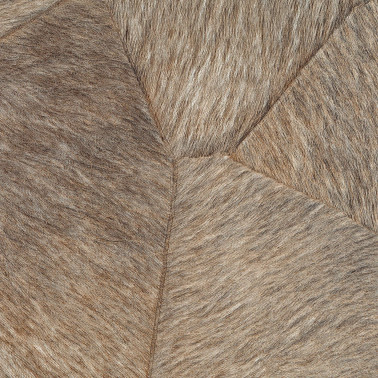 Pampa Terres Fertiles VP-967-05