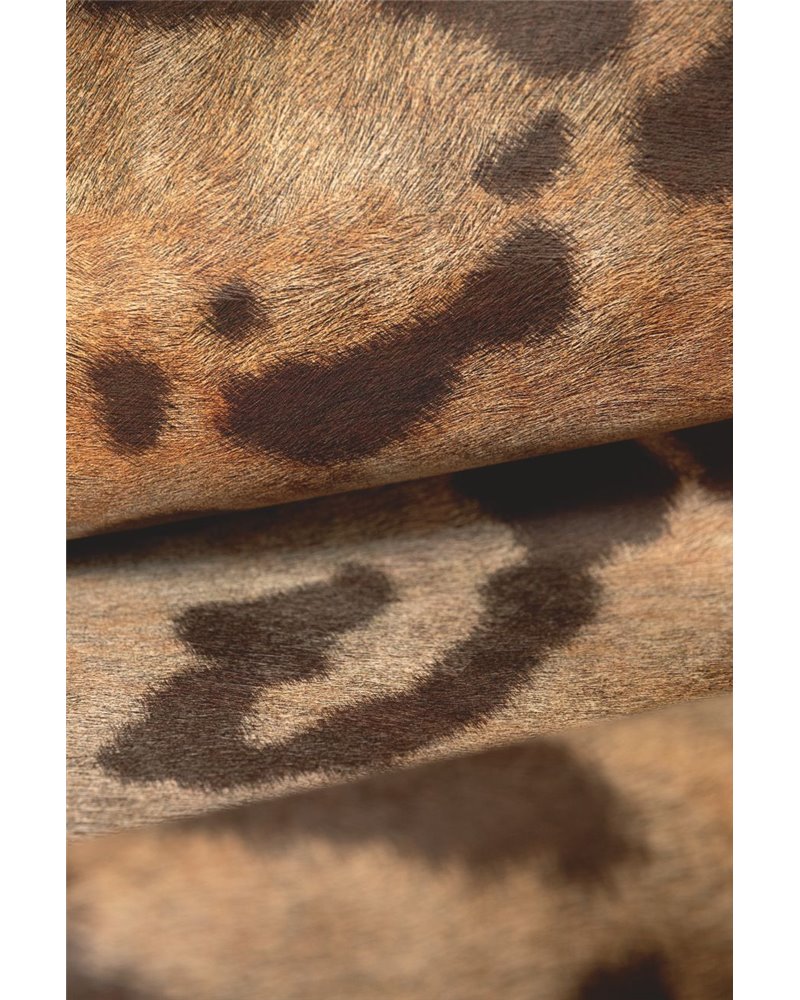 Leopard VP-969-01