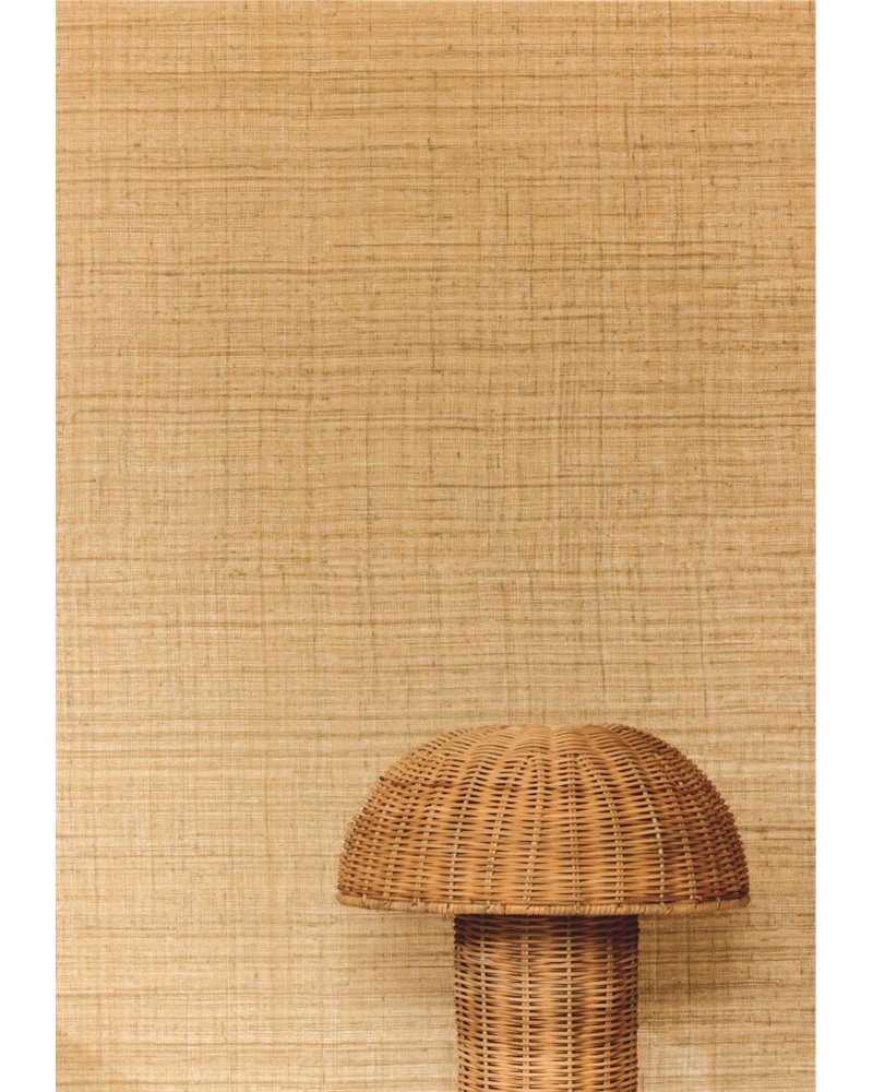 Abaca VP-983-01