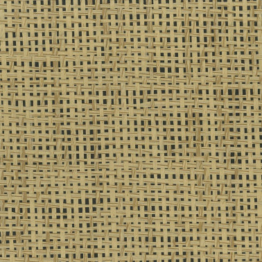 Papyrus Walnut W7930-04