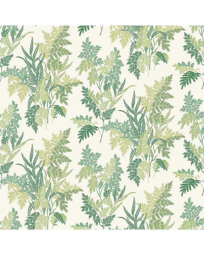 Fern Craze NCF4533-01 Fern Craze NCF4533-01