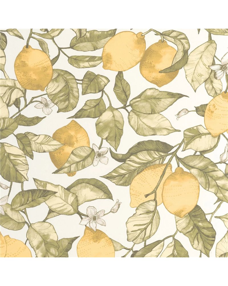 Lemon Tree Jaune Citron Blanc 200277227 Lemon Tree Jaune Citron Blanc 200277227