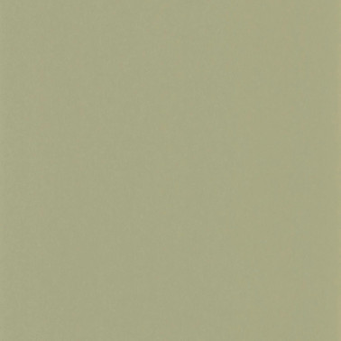 Pigments Argile Verte 200337337
