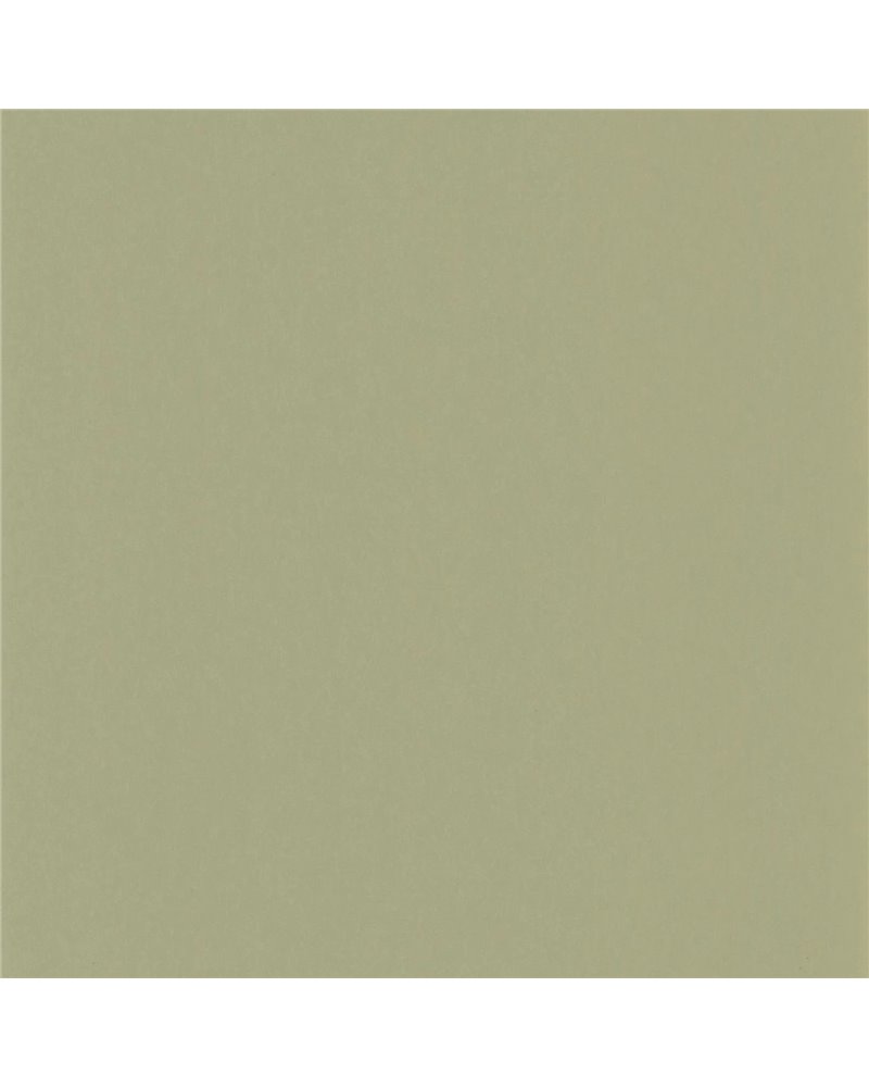 Pigments Argile Verte 200337337 Pigments Argile Verte 200337337