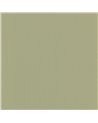 Pigments Argile Verte 200337337