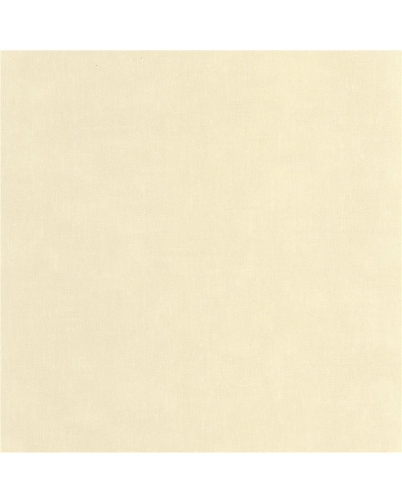 Etamine Beige Sable 200251303 Etamine Beige Sable 200251303
