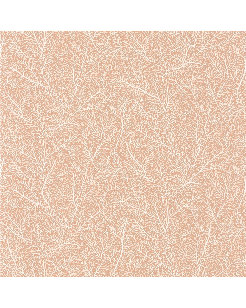 Only Chips Corail 102783097 Only Chips Corail 102783097
