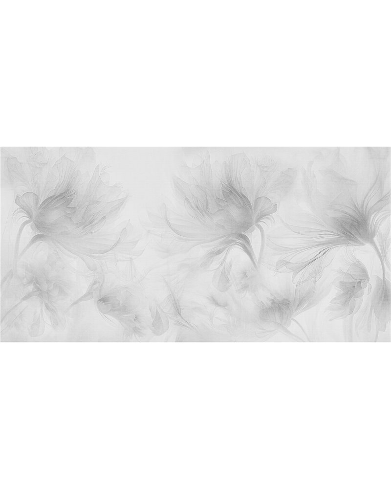 Gardenis Graphite Gardenis Graphite