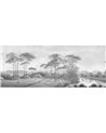 Valey Graphite