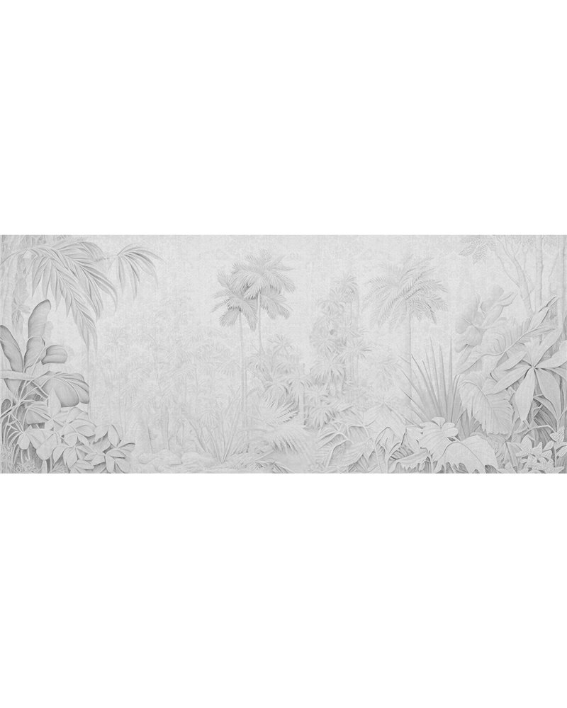 Bosanova Graphite Bosanova Graphite