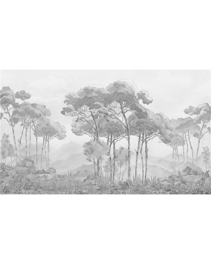 Borea Graphite Borea Graphite