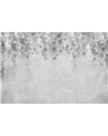 Blume Graphite