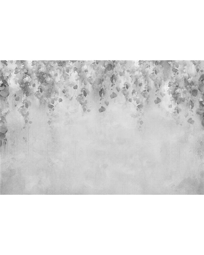 Blume Graphite