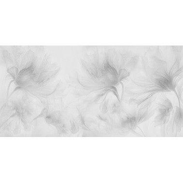 Gardenis Graphite