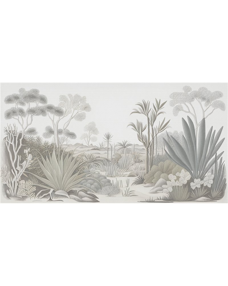 Sonora Serenity