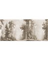 Timberly Sepia