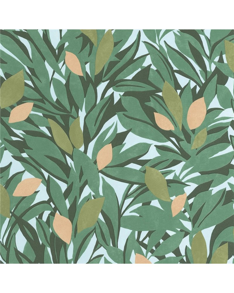 Cassis Vert Mousse Orange 105457331 Cassis Vert Mousse Orange 105457331