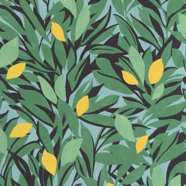 Cassis Vert Feuille Jaune 105457720