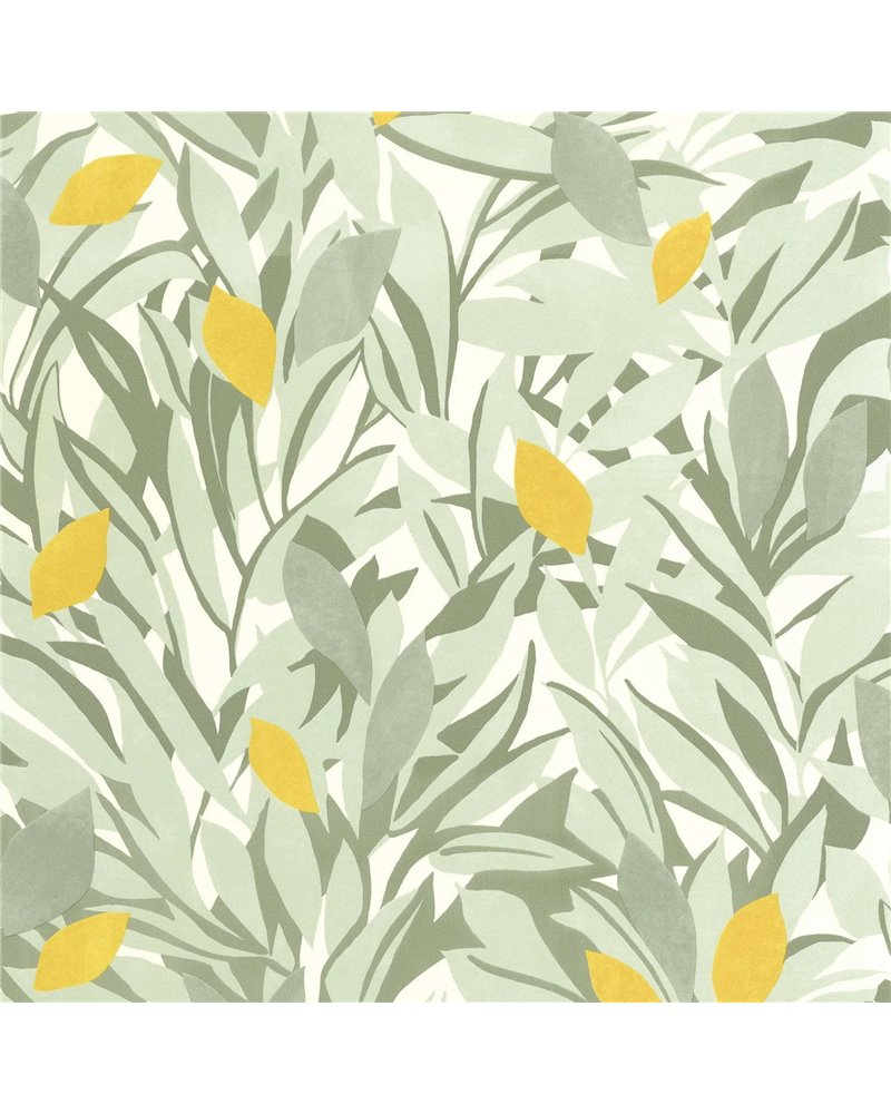Cassis Vert Kaki Jaune 105457243
