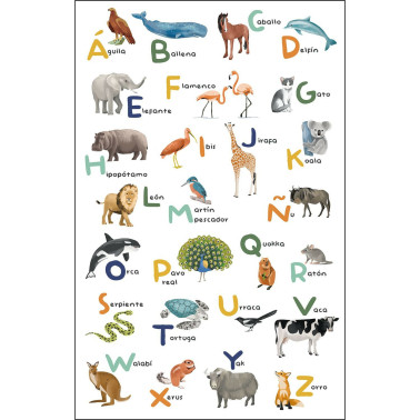 FormatFactoryLet's Learn The Alphabet Multicouleurs L 105863404