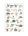 Let's Learn The Alphabet Multicouleurs M 105863403