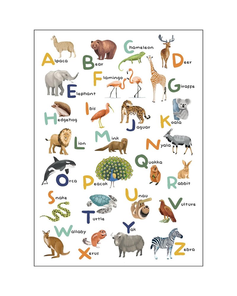 Let's Learn The Alphabet Multicouleurs L 105857004 Let's Learn The Alphabet Multicouleurs L 105857004