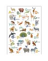 Let's Learn The Alphabet Multicouleurs L 105857004