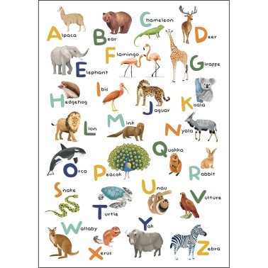 Let's Learn The Alphabet Multicouleurs M 105857003