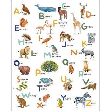 FormatFactoryApprenons L' Alphabet Multicouleurs S 105672305