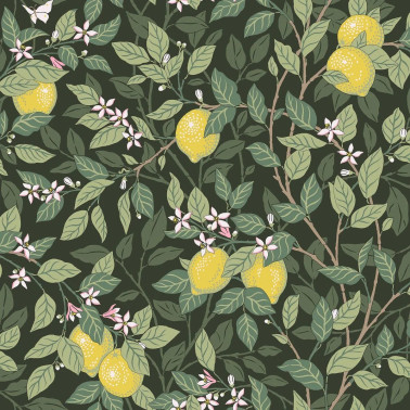Citrontrad 5701
