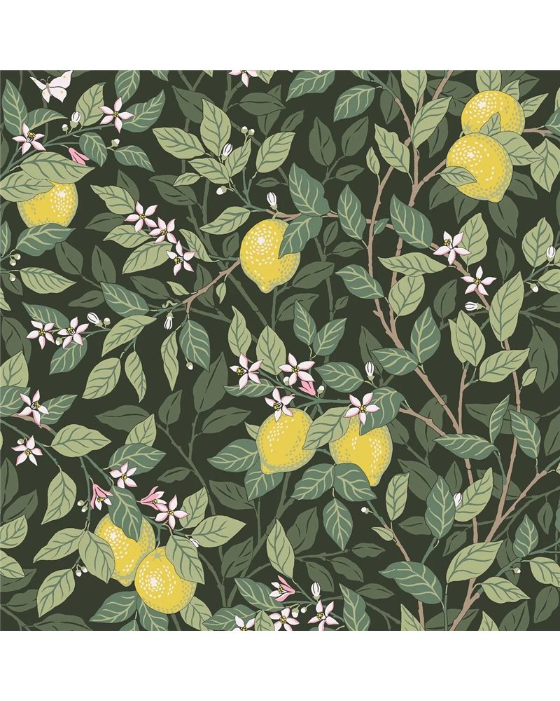 Citrontrad 5701 Citrontrad 5701