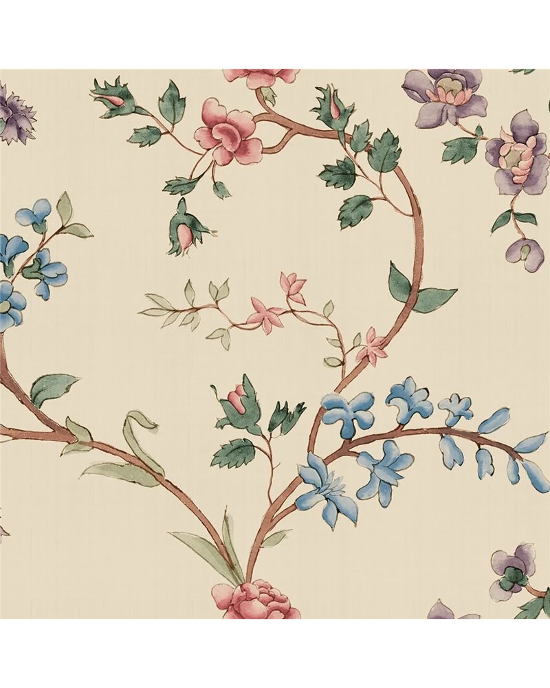 Clara Colorful S10398 Clara Colorful S10398
