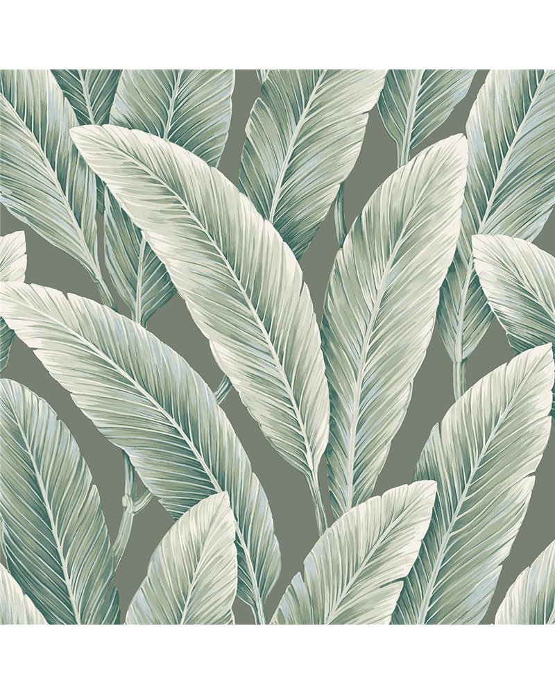 Savannah Grass II LS60204 Savannah Grass II LS60204