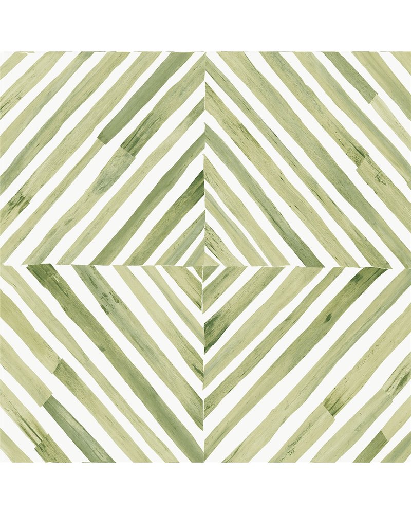 Savannah Grass X LS61204 Savannah Grass X LS61204
