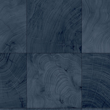A Lot More Textures IX CP91902